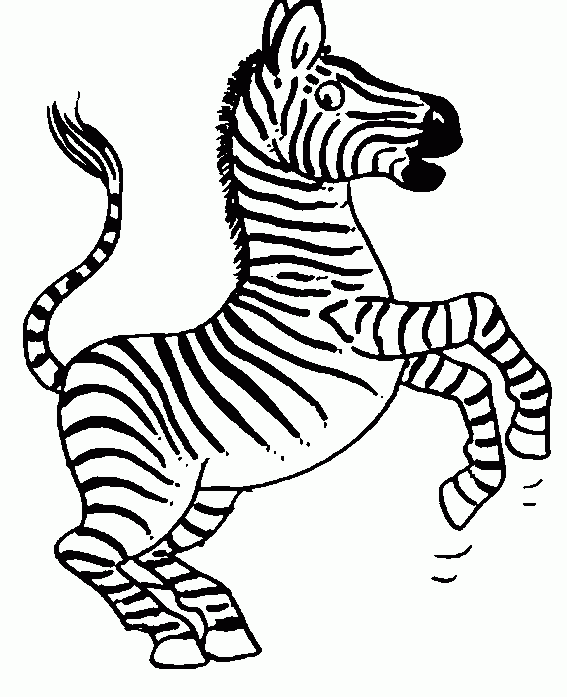 Zebra Desenhos para Colorir