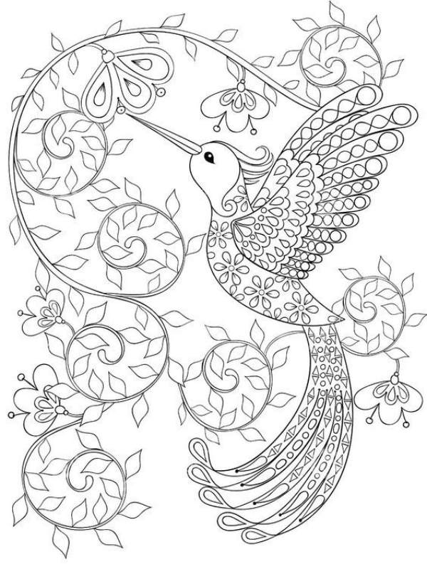 Desenhos de Beija-flor para Imprimir e Colorir