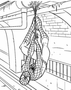 Desenho de Homem-Aranha no telhado para colorir