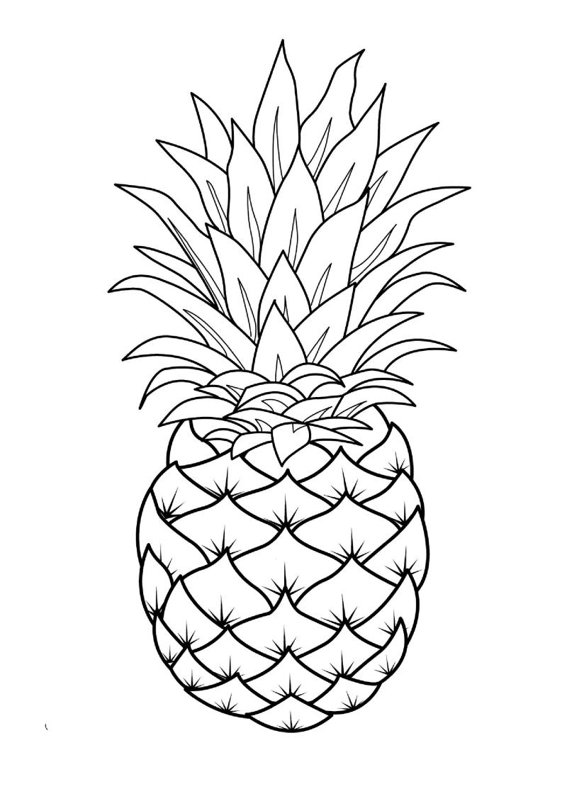 O Rei das Frutas – Desenhos para Colorir