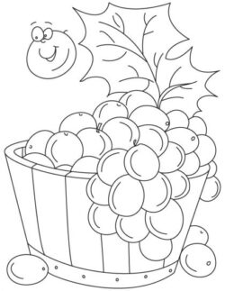 Desenhos de frutas desenhados à mão para colorir pacote de desenhos  animados